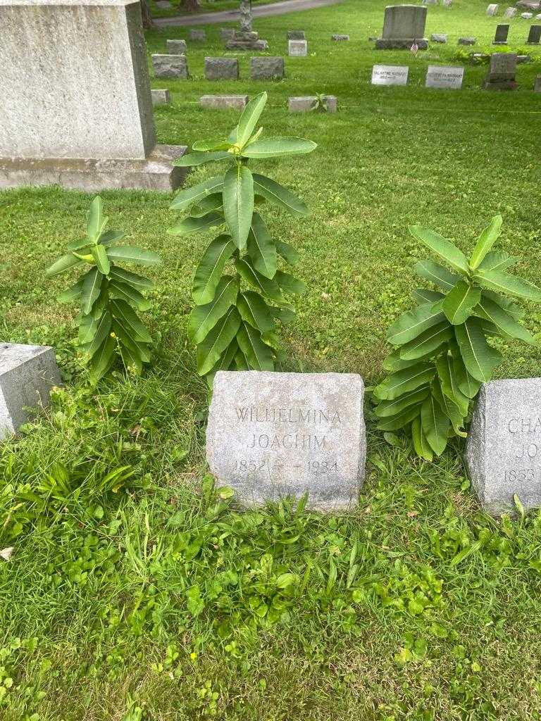 Wilhelmina P. Joachim's grave. Photo 2