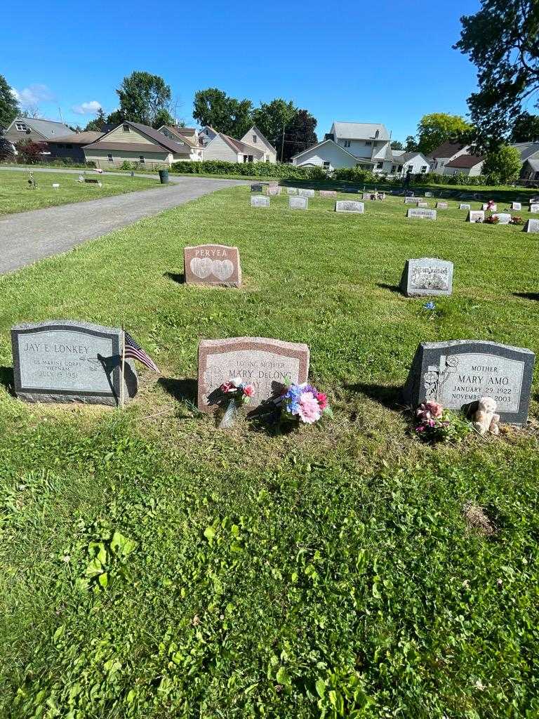 Mary DeLong's grave. Photo 1