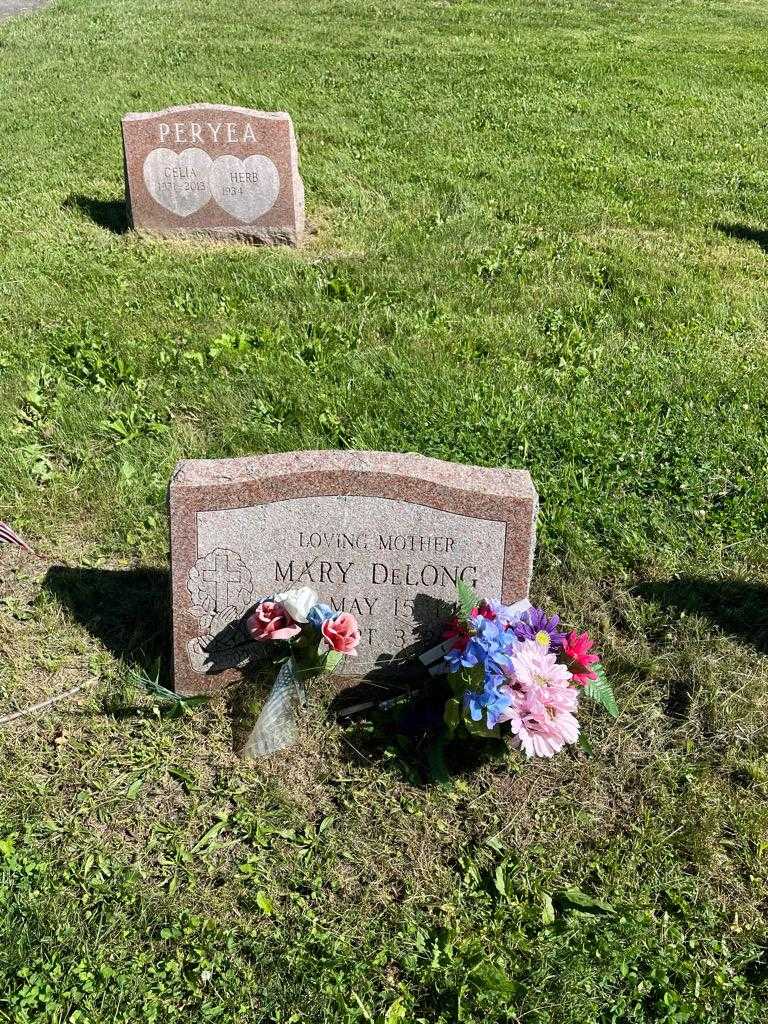Mary DeLong's grave. Photo 2