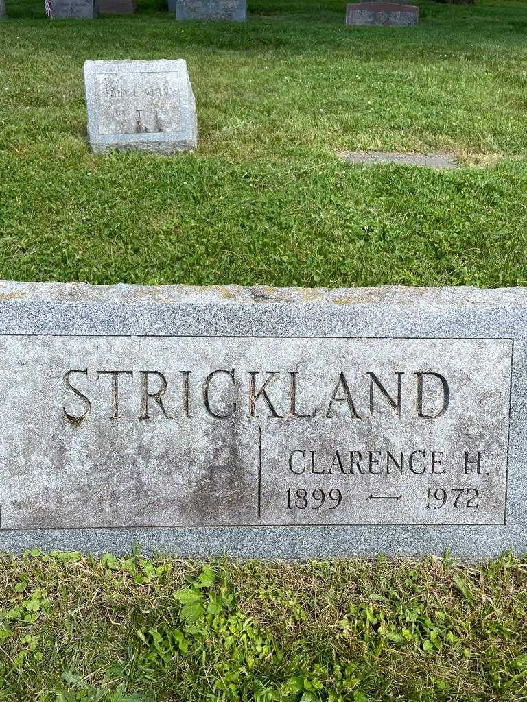 Clarence H. Strickland's grave. Photo 3