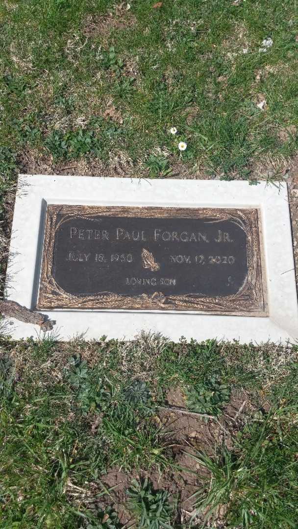 Peter Paul Forgan Junior's grave. Photo 3