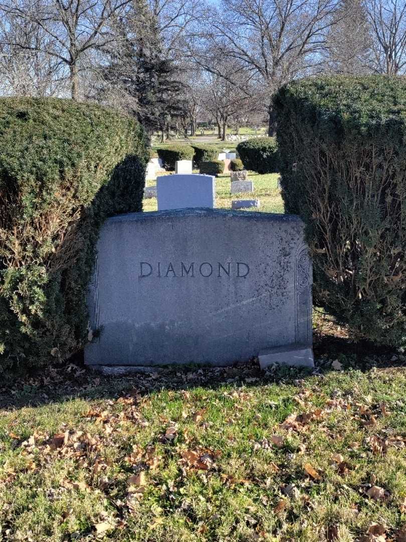 Samuel C. Diamond's grave. Photo 4