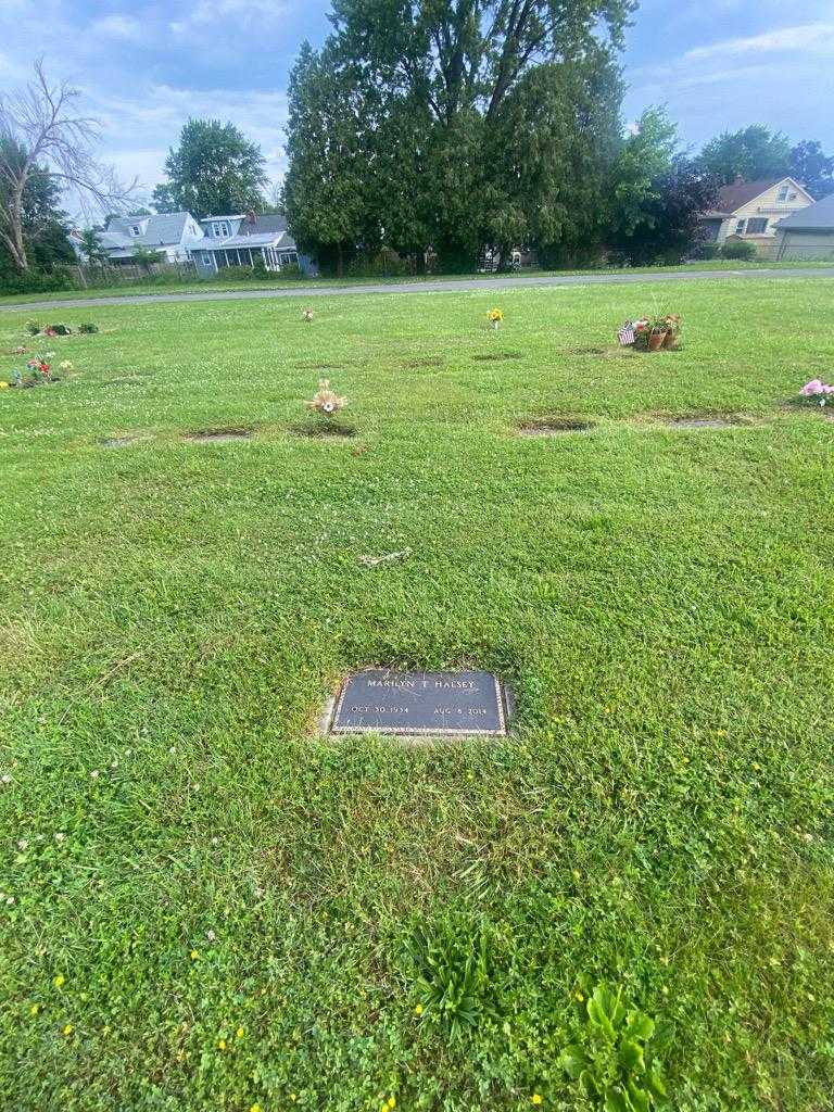 Marilyn T. Halsey's grave. Photo 1