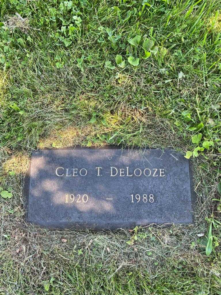 Cleo T. DeLooze's grave. Photo 3