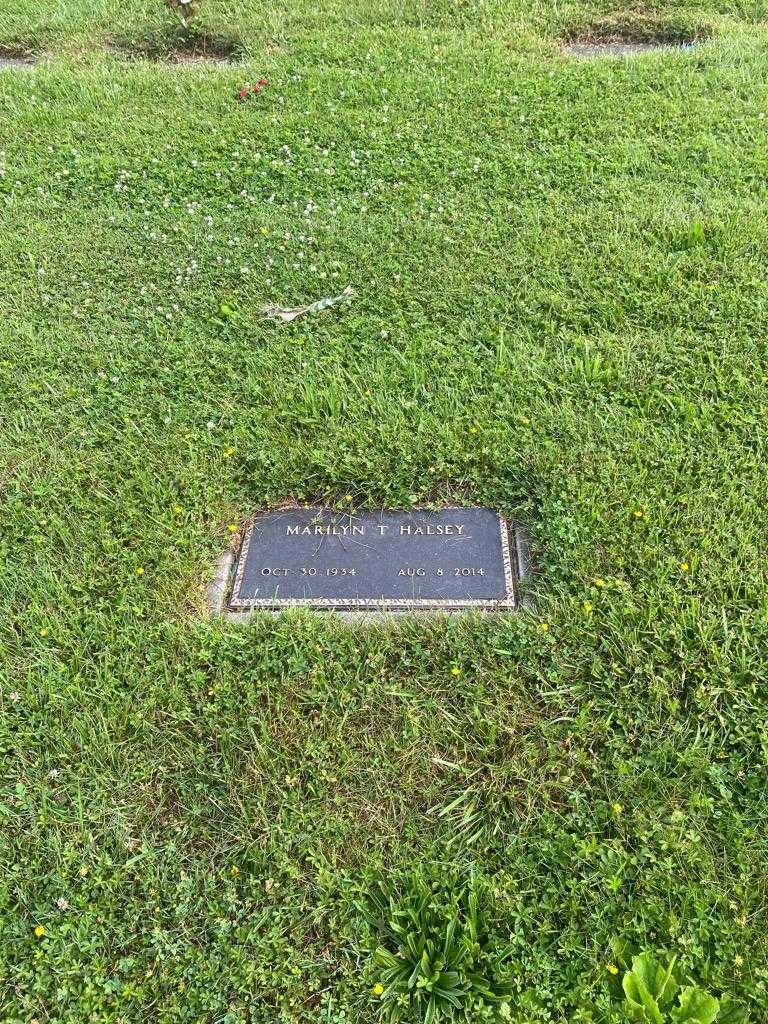 Marilyn T. Halsey's grave. Photo 2