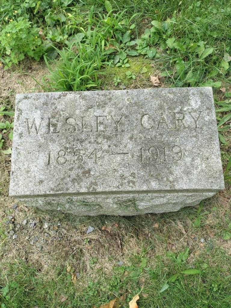 Wesley Cary's grave. Photo 3