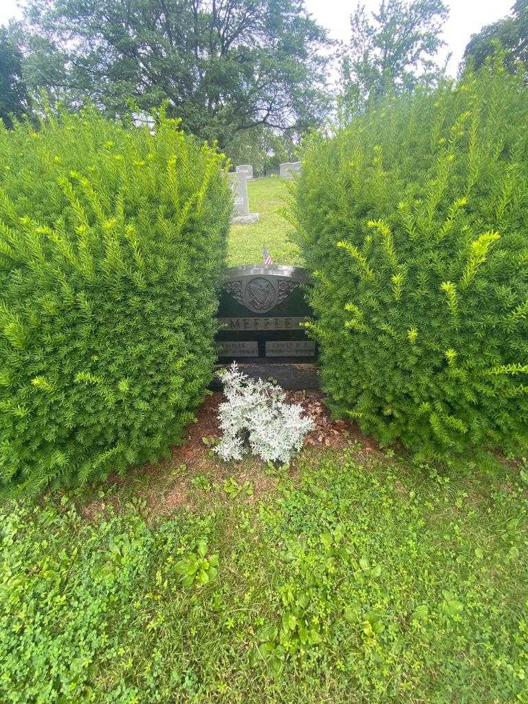 Emilie Meffle's grave. Photo 1