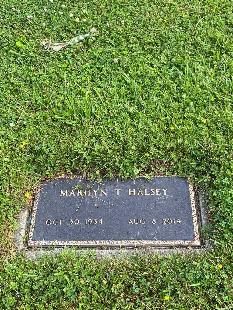 Marilyn T. Halsey's grave. Photo 3