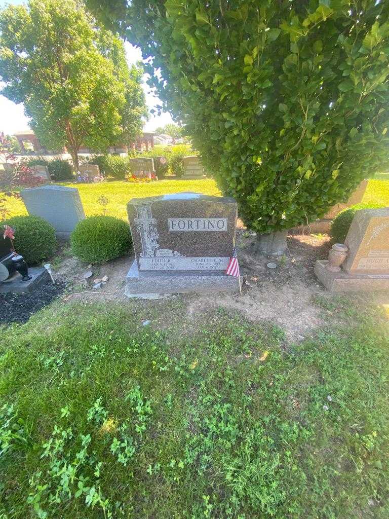 Charles E. Fortino Senior's grave. Photo 1