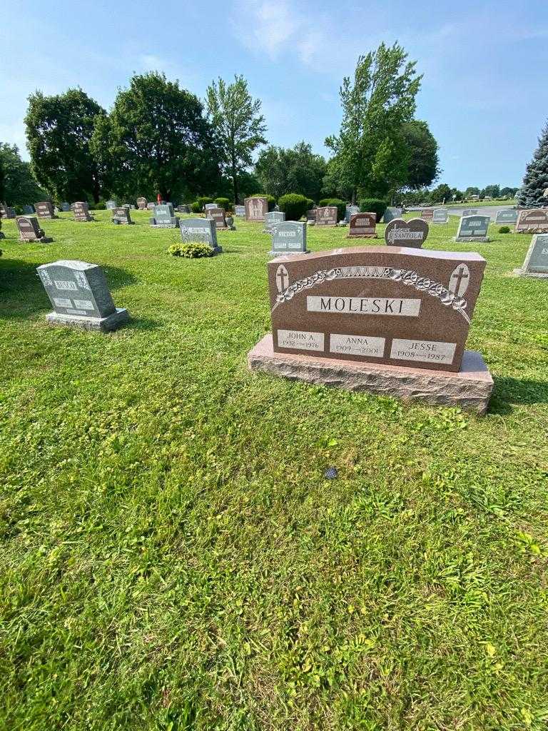 Jesse Moleski's grave. Photo 1