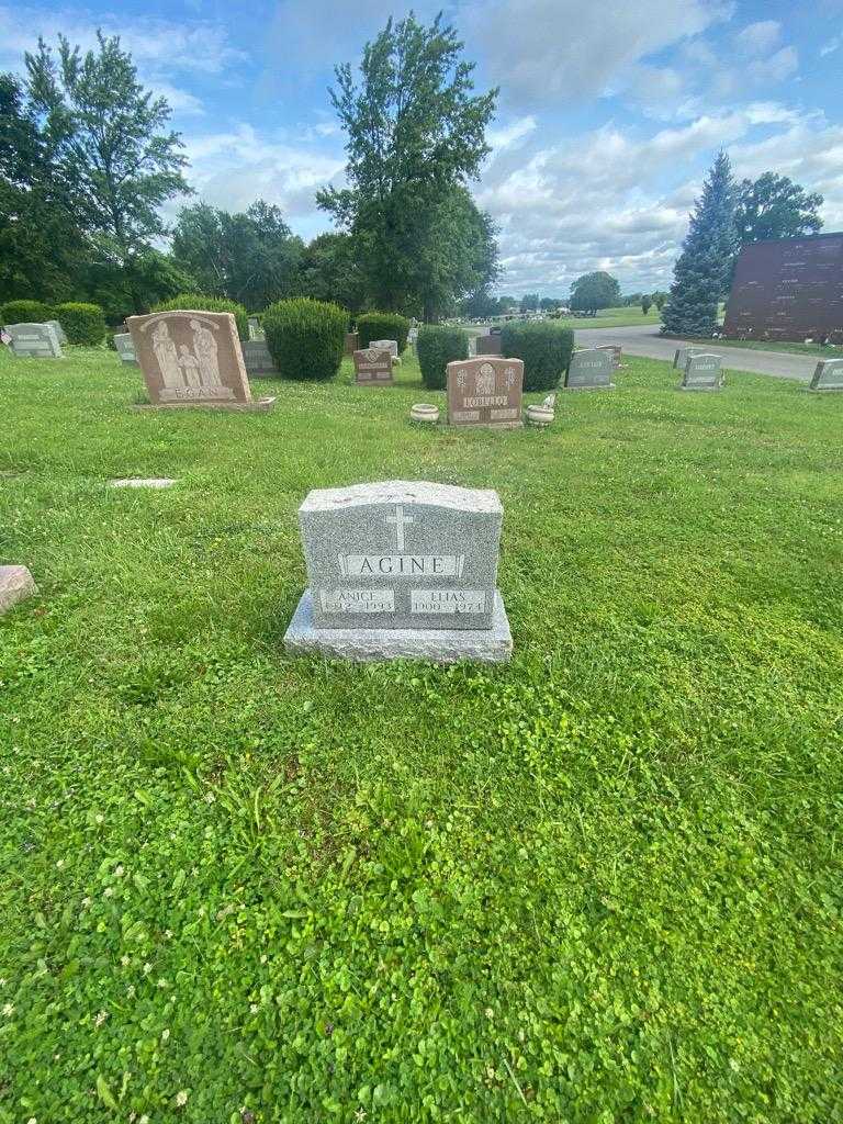 Elias Agine's grave. Photo 1