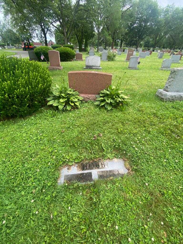 Carl Hobb's grave. Photo 1