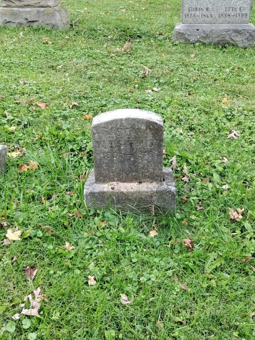 William Edward Schmidt's grave. Photo 2