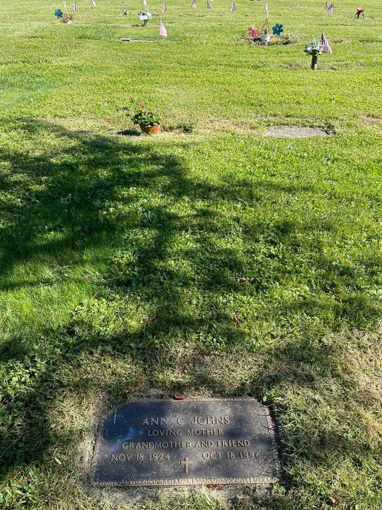 Ann C. Johns's grave. Photo 2