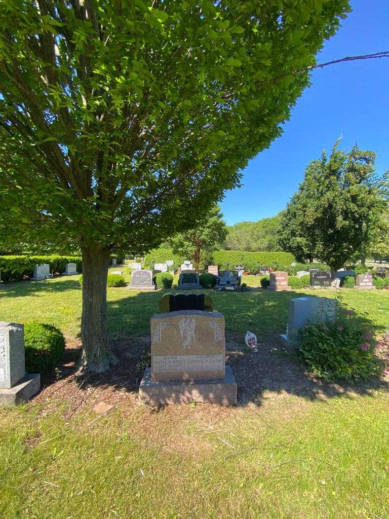 Anita B. Doyle's grave. Photo 1