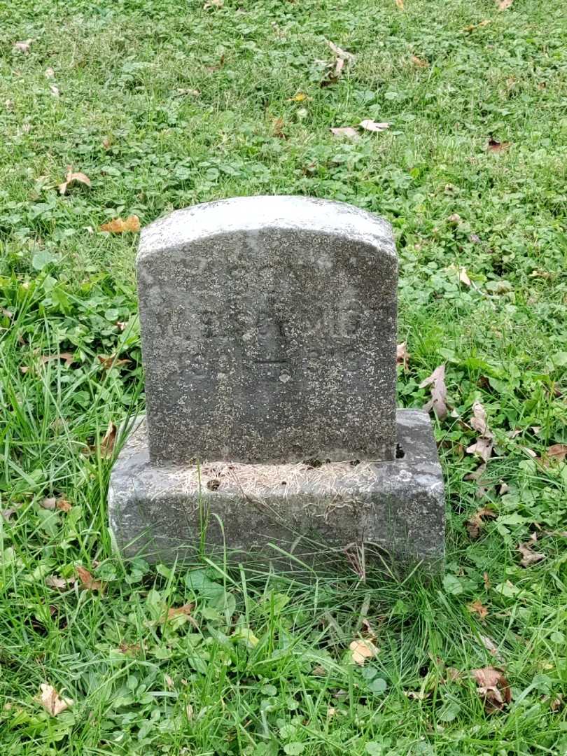 William Edward Schmidt's grave. Photo 3