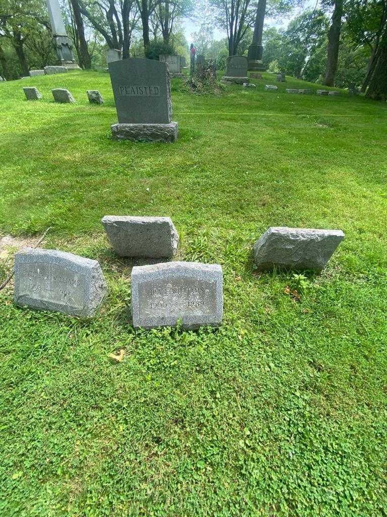 Ira E. Williams's grave. Photo 1
