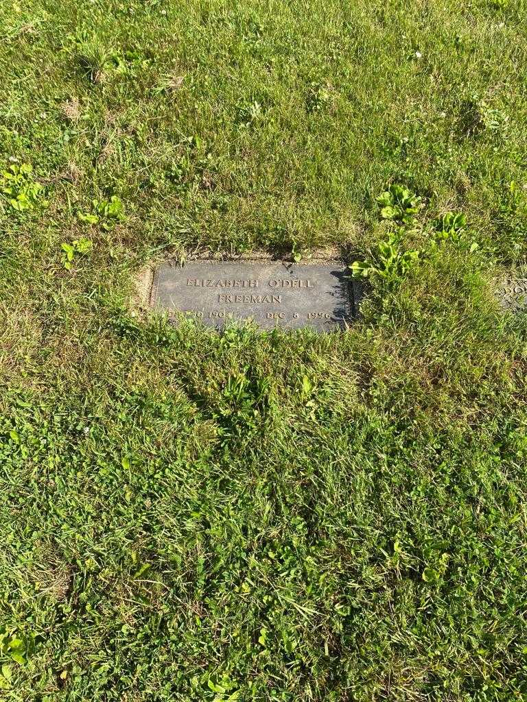 Elizabeth O'Dell Freeman's grave. Photo 2