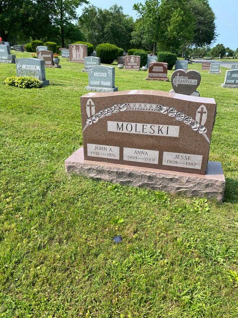 Jesse Moleski's grave. Photo 2