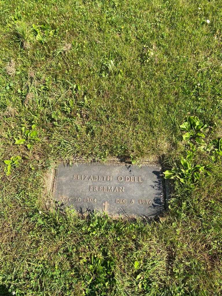Elizabeth O'Dell Freeman's grave. Photo 3