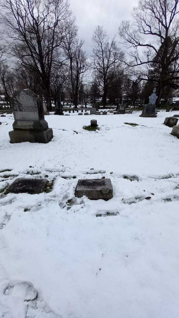 George M. Babcock's grave. Photo 1