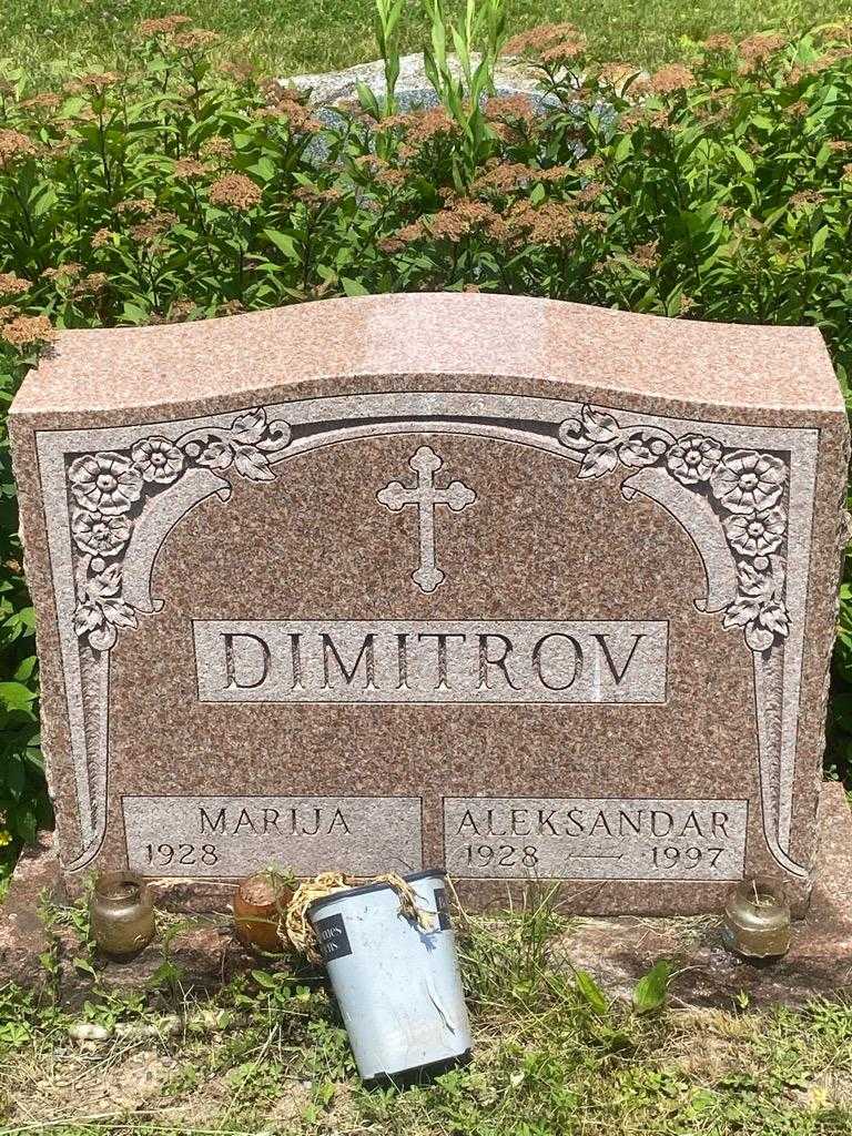 Aleksandar Dimitrov's grave. Photo 3