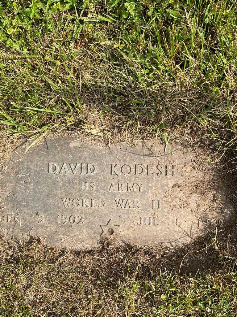David Kodesh's grave. Photo 3