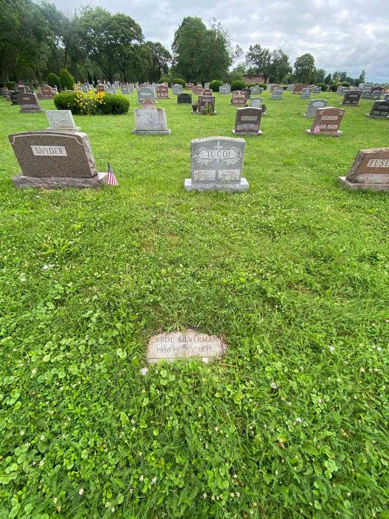 Carol Silverman's grave. Photo 1