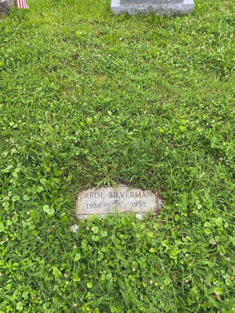 Carol Silverman's grave. Photo 2