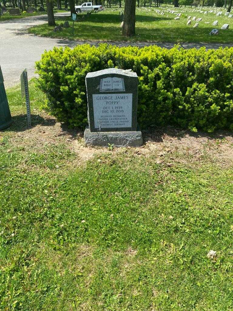 George "Poppy" James's grave. Photo 2