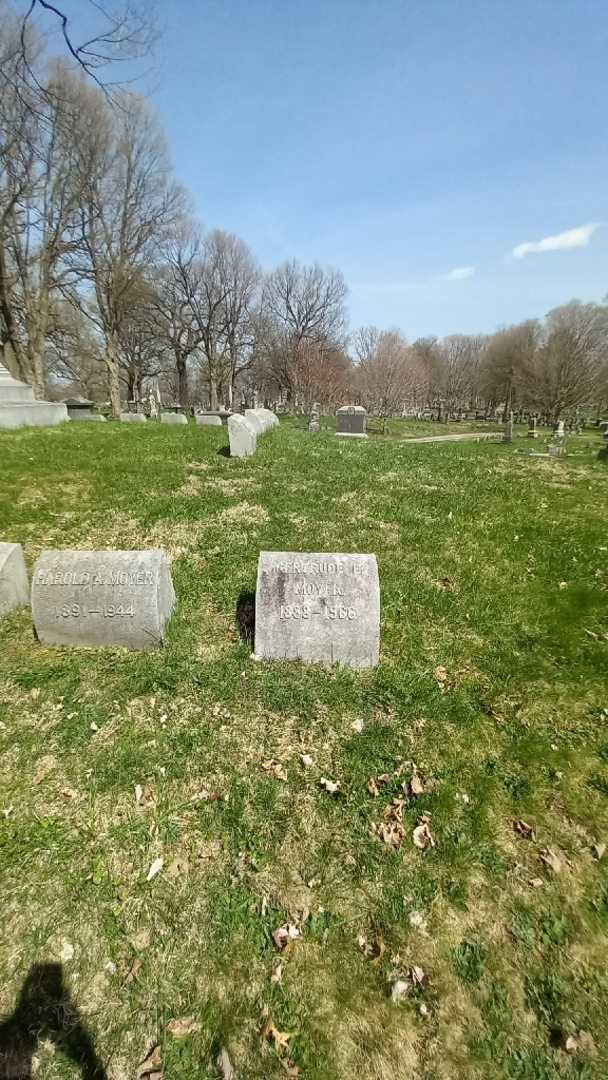 Gertrude E. Moyer's grave. Photo 1