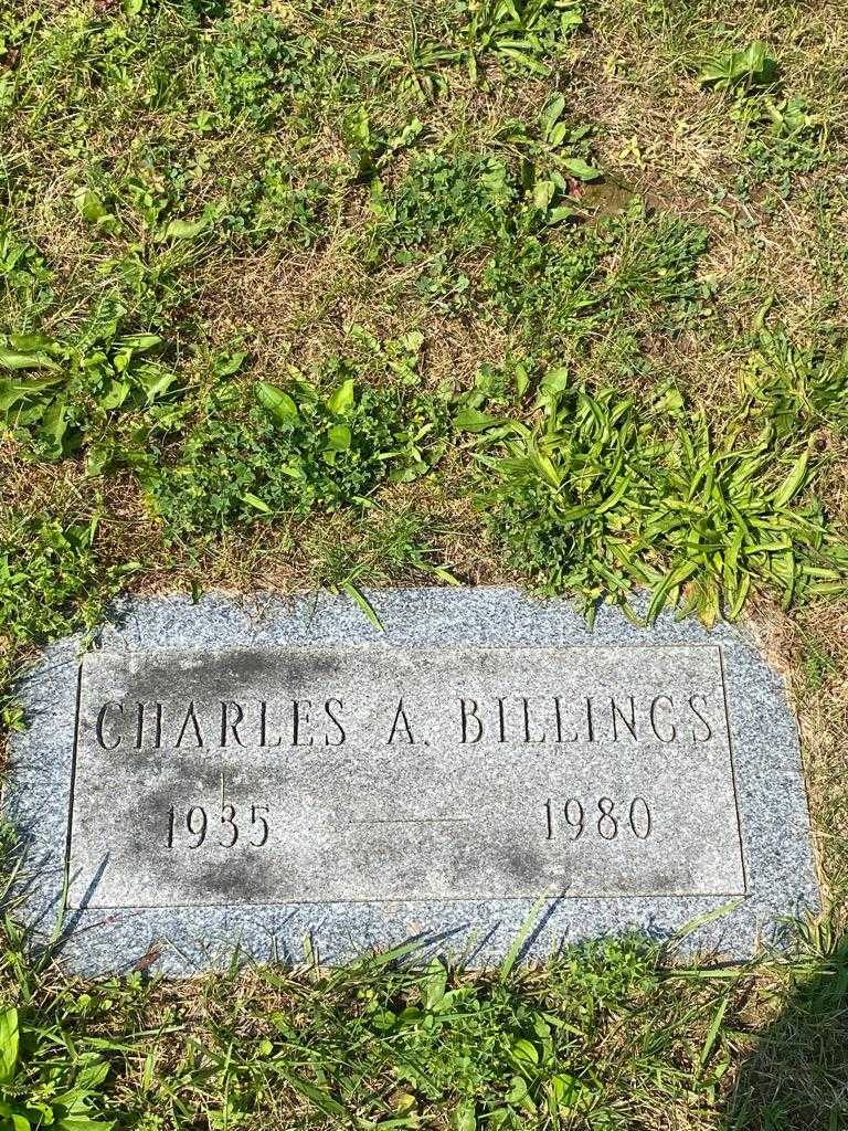 Charles A. Billings's grave. Photo 3
