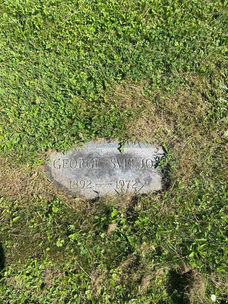George Sveljo's grave. Photo 3