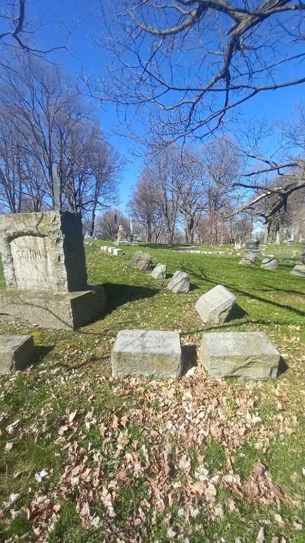 Wilhelmina B. Schilly Filsinger's grave. Photo 1
