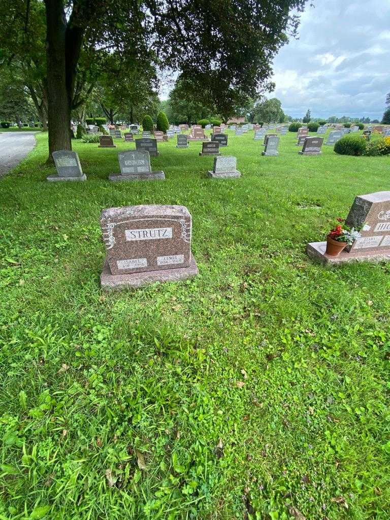 Lewis Strutz's grave. Photo 1