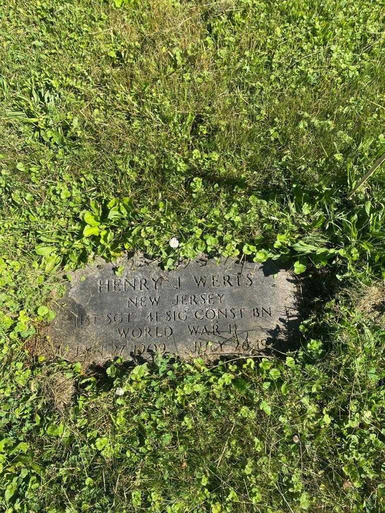 Henry J. Werts's grave. Photo 3