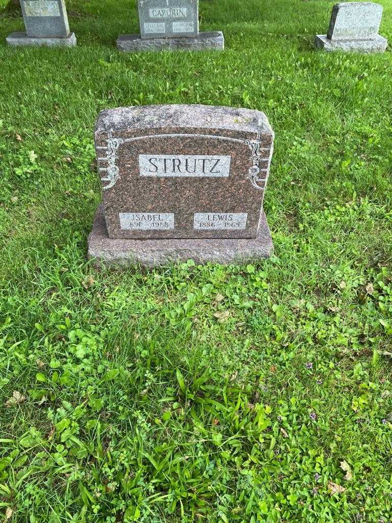 Lewis Strutz's grave. Photo 2