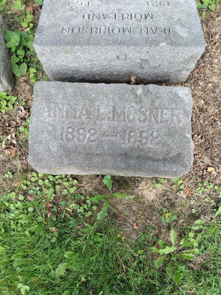 Anna L. Mosner's grave. Photo 2