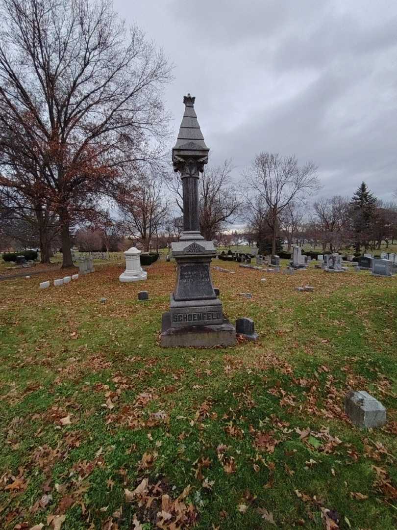 Aaron Abram Schoenfeld's grave. Photo 1