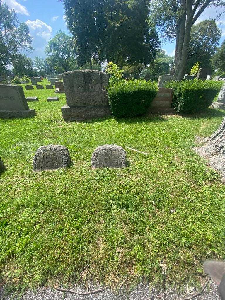 Ruth H. Mcleod's grave. Photo 1