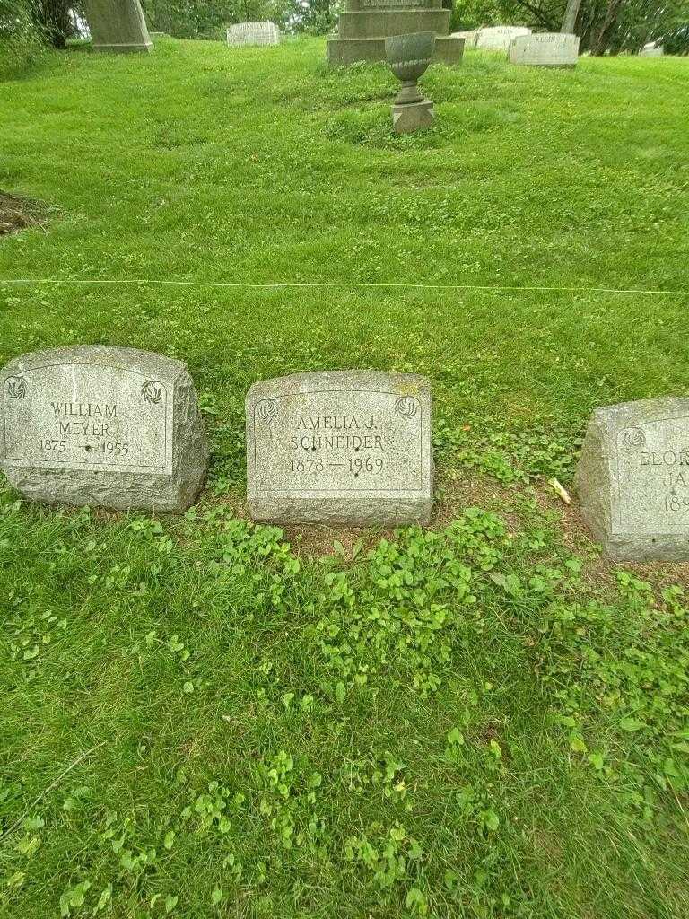 Amelia J. Schneider's grave. Photo 1