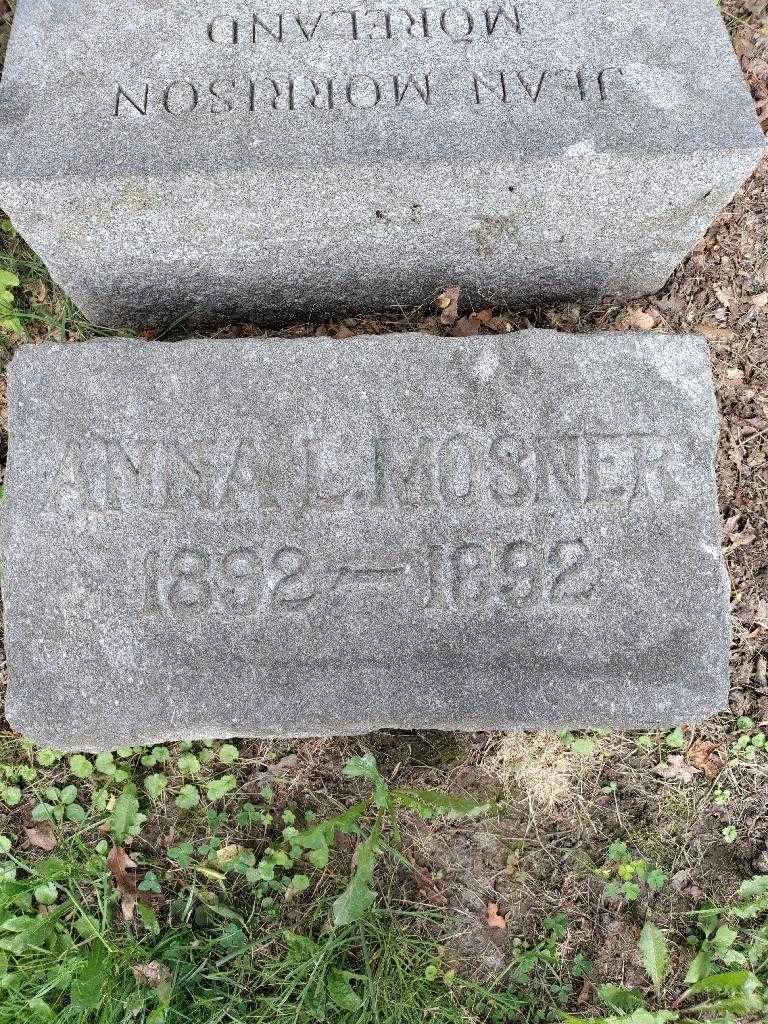 Anna L. Mosner's grave. Photo 3