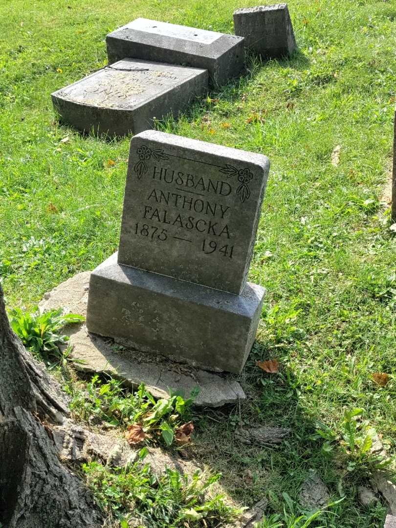 Anthony Falaska's grave. Photo 2