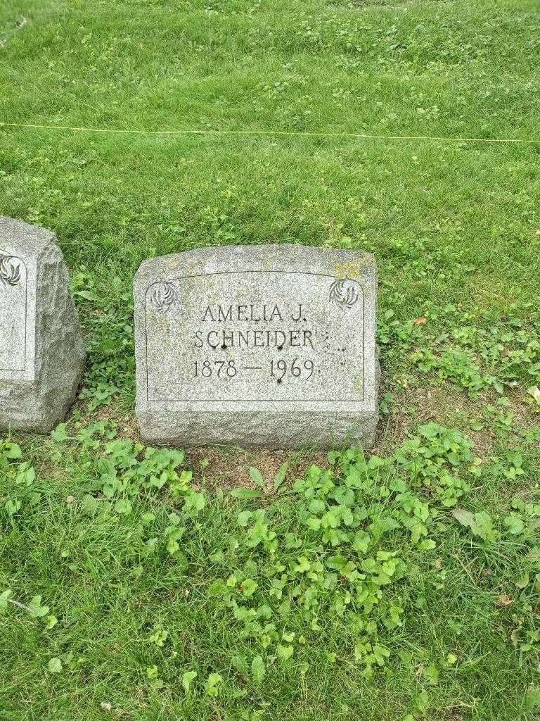 Amelia J. Schneider's grave. Photo 2