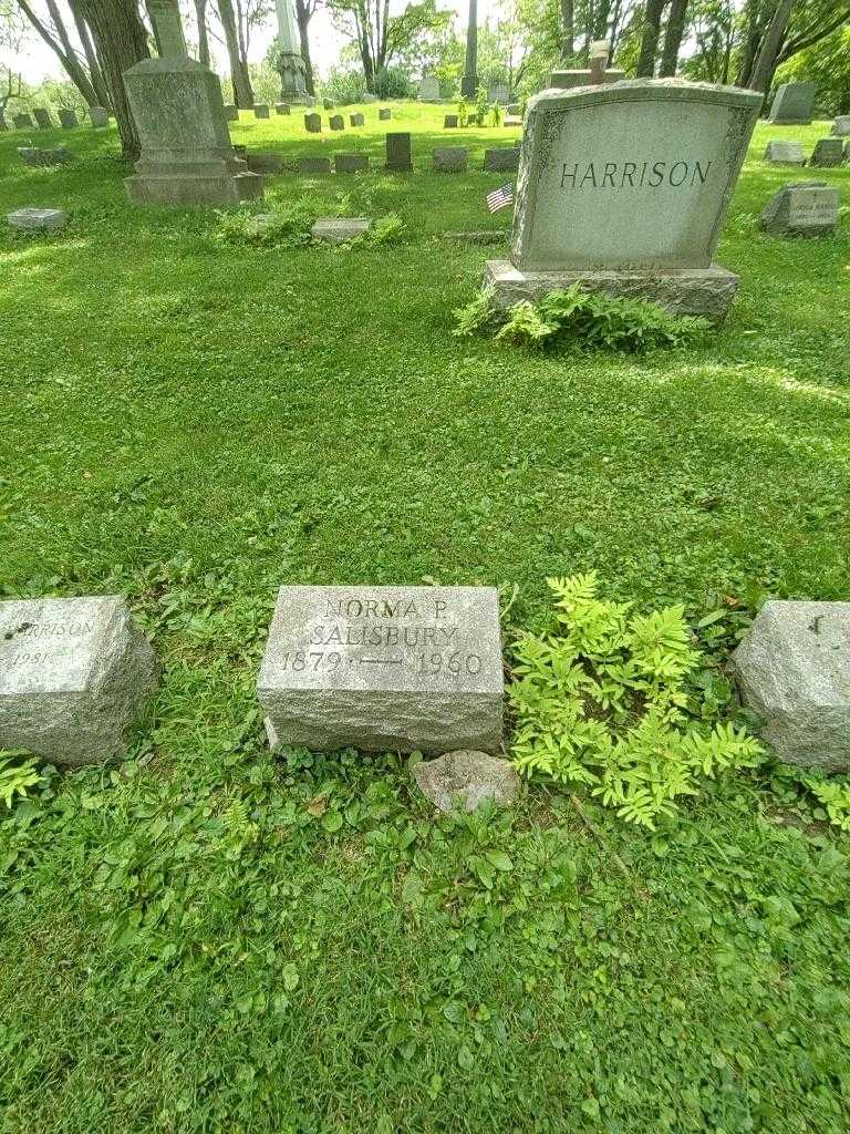 Norma P. Salisbury's grave. Photo 1