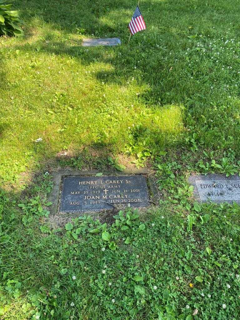 Henry L. Carey Senior's grave. Photo 2