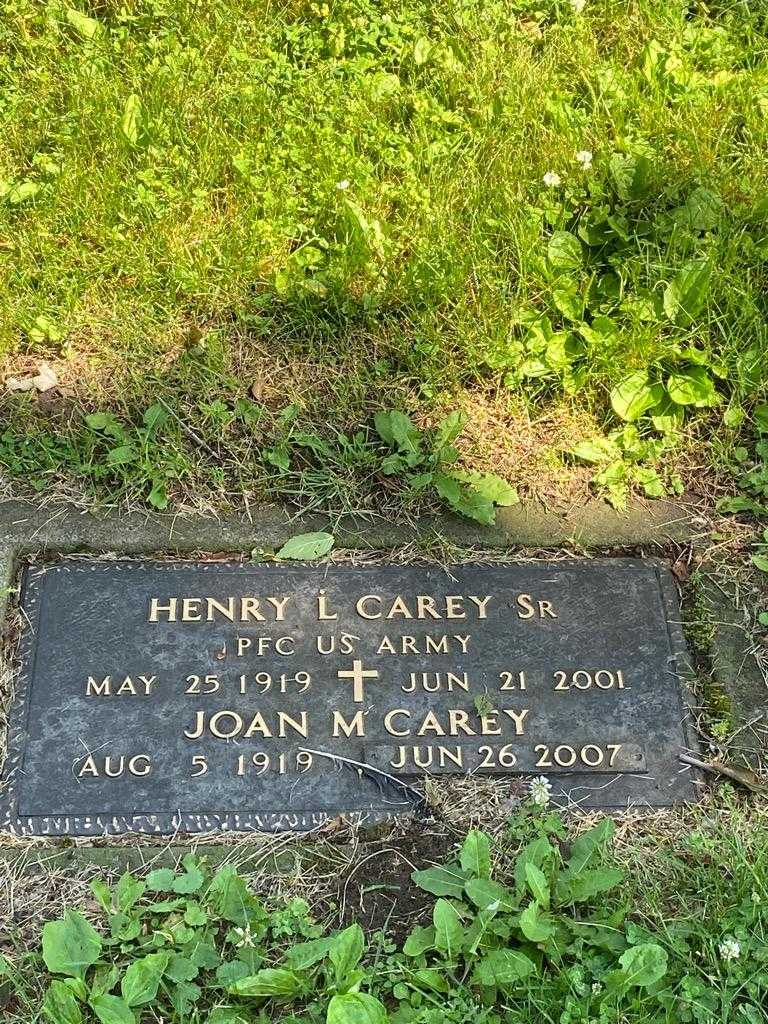 Henry L. Carey Senior's grave. Photo 3