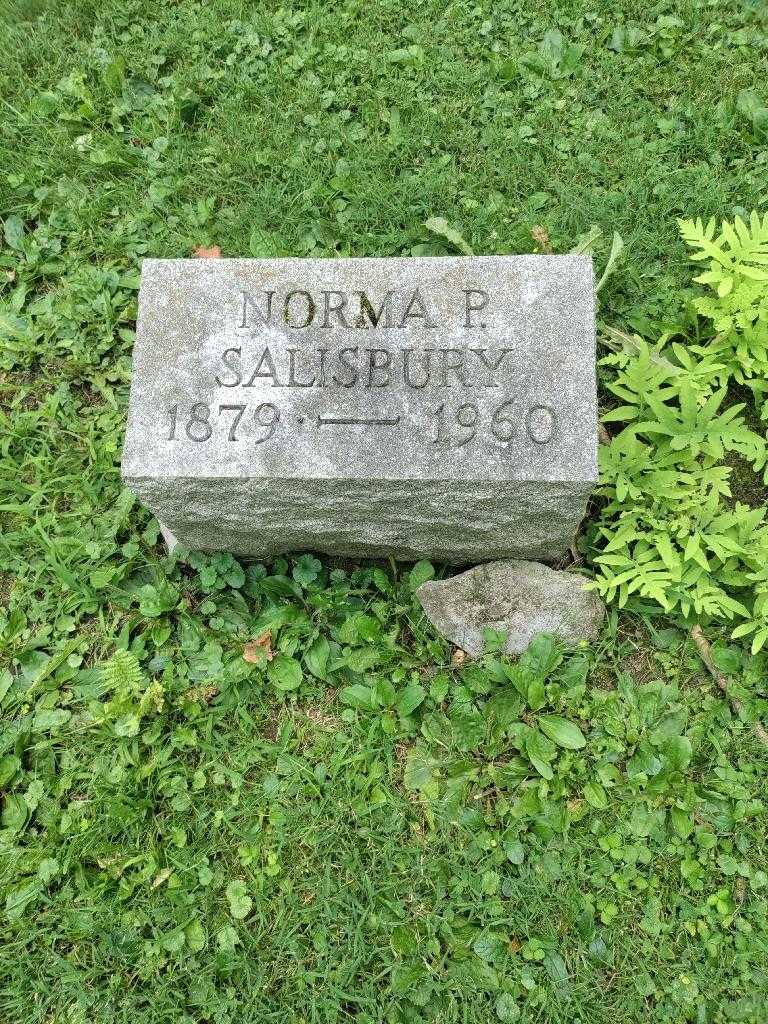 Norma P. Salisbury's grave. Photo 2