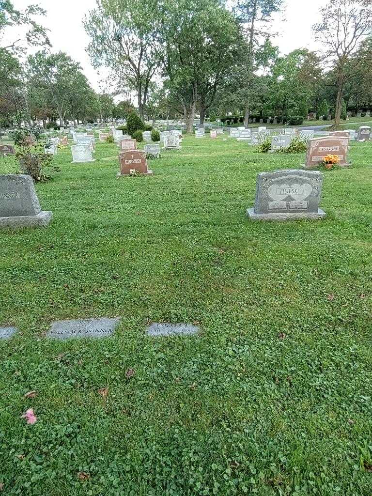 William Edward Skinner's grave. Photo 3