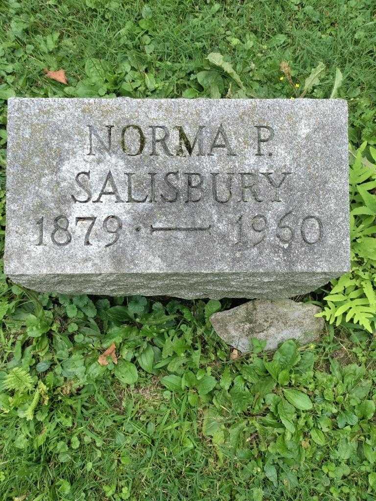 Norma P. Salisbury's grave. Photo 3